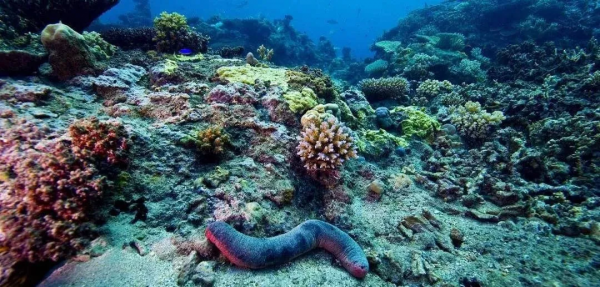 親愛的閨蜜，我們一起去這15個地方，每年去一個，可好？