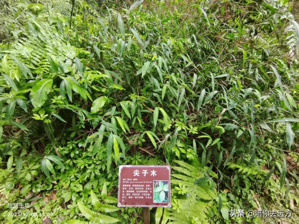 旅居D5-魅力十足百魔洞