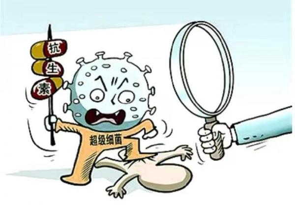 82歲老人感染“超級細菌”，抗生素失靈！老伴看的電視劇救了他