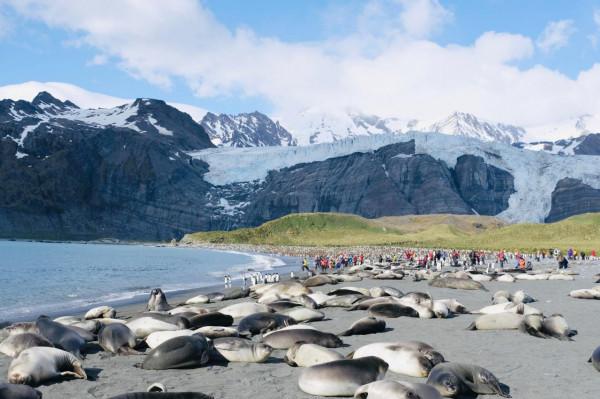 我們去南極結婚了 我們去南極結婚了