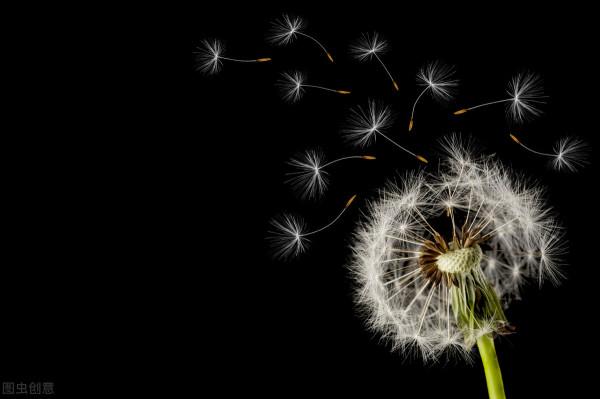 為何最懂養生的中醫主任得了癌症？