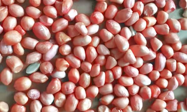 秋季進補,推薦8種食材,多給家人吃,健康養胃,降秋燥事半功倍 秋季進補,推薦8種食材,多給家人吃,健康養胃,降秋燥事半功倍