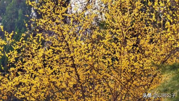 冬天的遺憾，一定會被春風溫柔的化解