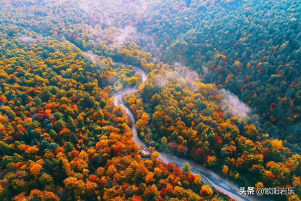 秋去秋來！中國最美的12個地方，你去過幾個？