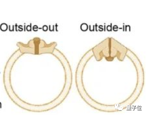 觸覺是怎麼產生的？清華大學破解諾獎成果未解之謎，登上Nature
