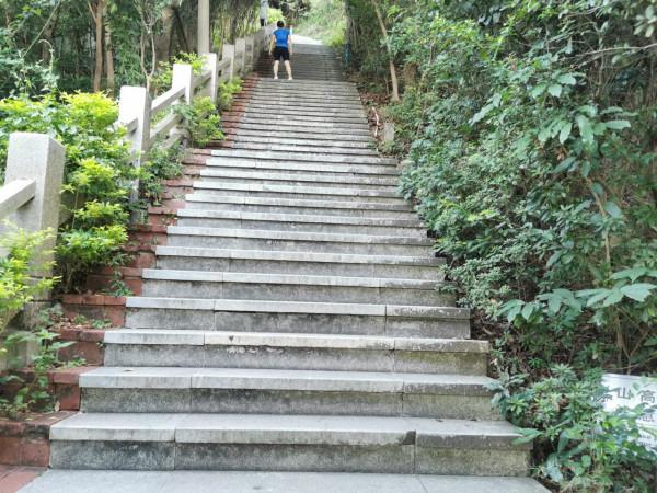 美好的一天，從爬山開始