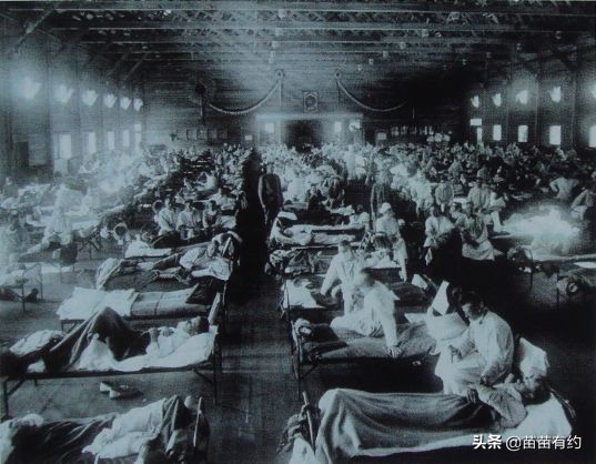 美國曆史學家威廉邁克尼爾：不起眼的病原體，決定一個王朝的興起