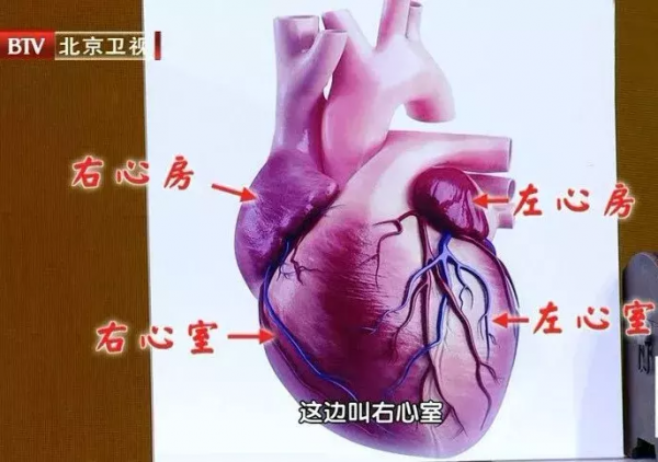 心臟瓣膜出問題，全身會遭殃！日常兩招助你強心臟