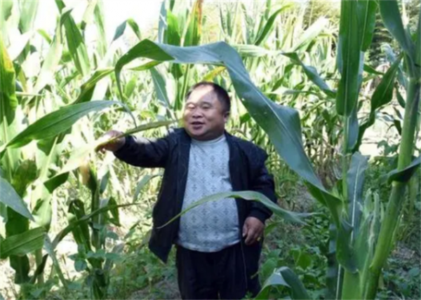 他身高1米2,結婚後幫2個弟弟娶媳婦,今一家10口住別墅不分家 他身高1米2,結婚後幫2個弟弟娶媳婦,今一家10口住別墅不分家