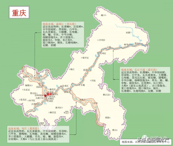 科學放流指南 &vert;（五）增殖放流水域在哪裡？放流物種怎麼選？