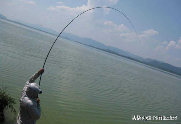 相鄰的兩個釣位，你總比隔壁釣得少，3個方面讓你明白問題出在哪