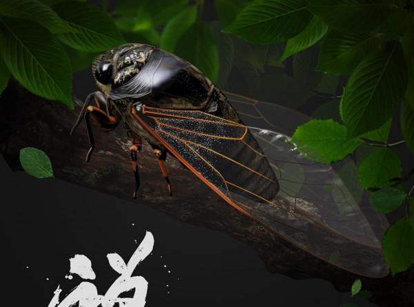 為什麼我們一直都不建議營養師學中醫理論呢？