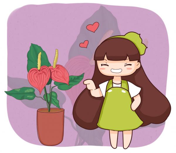 8種花紅得像火,一看就特吉祥,養家裡紅紅火火真喜慶 8種花紅得像火,一看就特吉祥,養家裡紅紅火火真喜慶