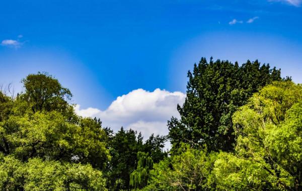 夏日度假好去處，古九州之一青州遊玩攻略