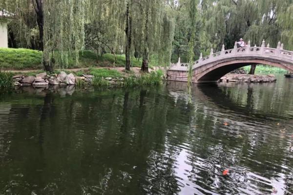 蔣勳先生品讀的《紅樓夢》跟我看的是同一本嗎？