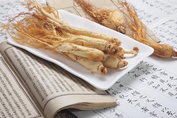 養肝護肝中草藥,人參、白朮有療效 養肝護肝中草藥,人參、白朮有療效