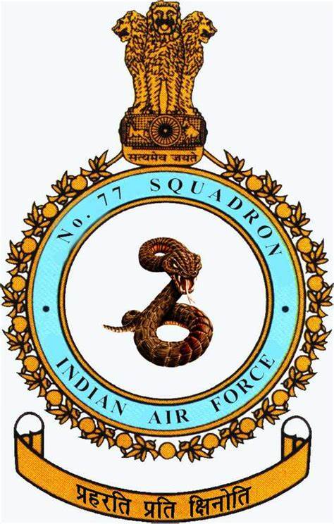 印度空軍各類標識：飛行中隊（6）