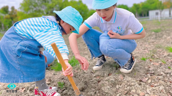育見星球大自然課程「尋找泡泡樹」——小探究，大學問