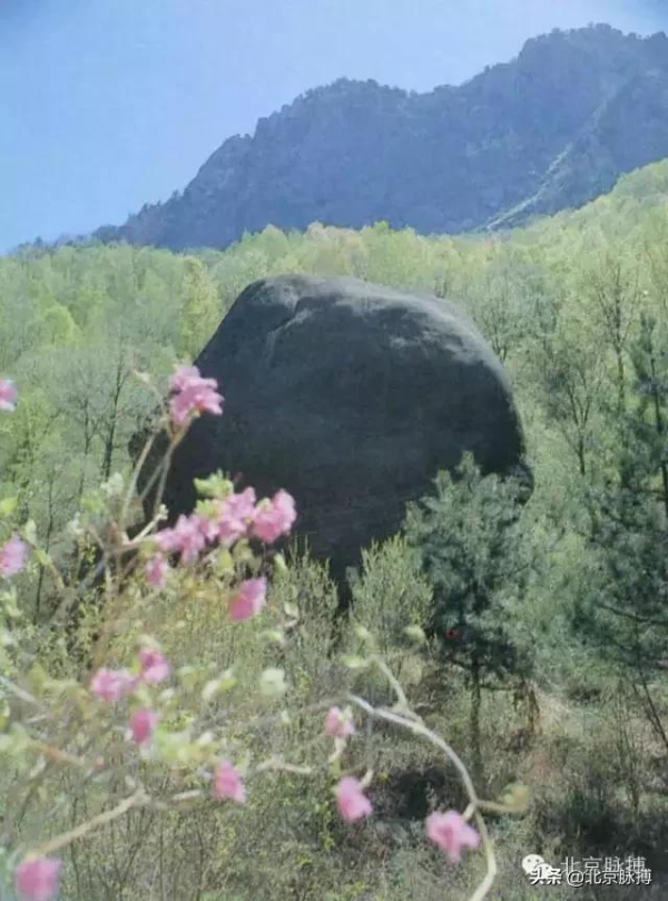 畫說北京丨曾經的大密雲