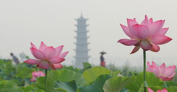 《愛蓮說》的作者周敦頤,是我們宇宙生成論的鼻祖 《愛蓮說》的作者周敦頤,是我們宇宙生成論的鼻祖