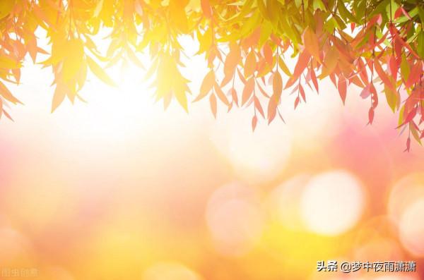 萬劫不滅,白羊座 萬劫不滅,白羊座