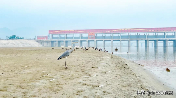 金堂來了一群特殊的客人