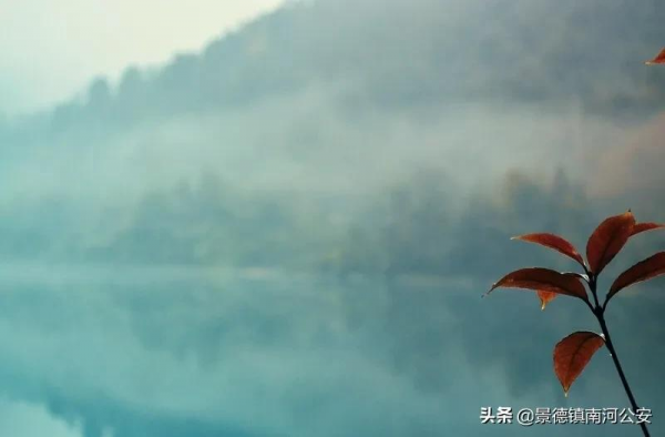 詩詞|有趣又令人舒適的詩句,好想摘抄下來 詩詞|有趣又令人舒適的詩句,好想摘抄下來