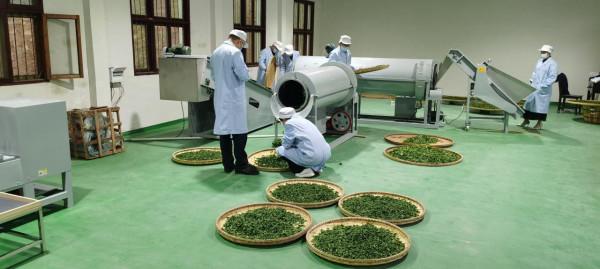 村裡新年味兒更濃 農民們過上了好日子