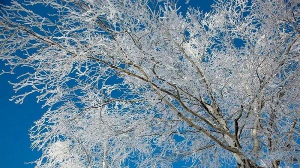 阿勒泰的冰雪風情