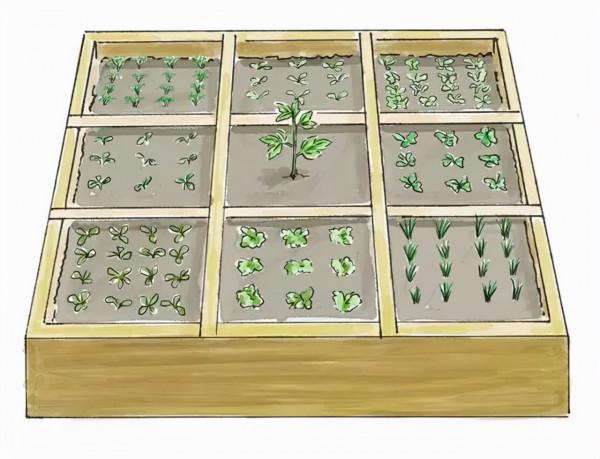 衢州農民建“一米菜園”5畝地巧賺20萬,如何規劃成亮點,不簡單 衢州農民建“一米菜園”5畝地巧賺20萬,如何規劃成亮點,不簡單