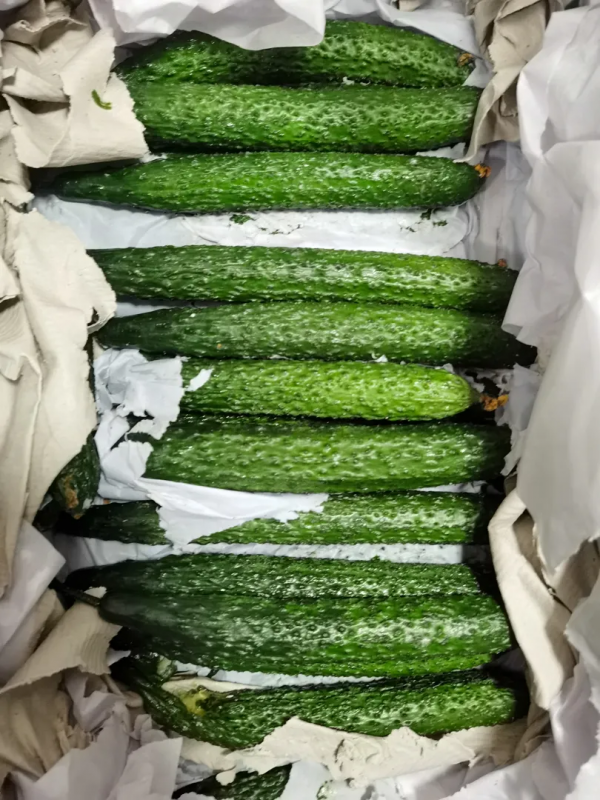 你可能想不到,海軍護航官兵最喜歡的菜品你天天都能吃到 你可能想不到,海軍護航官兵最喜歡的菜品你天天都能吃到