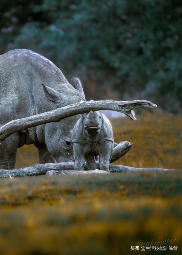 35張圖片帶我們領略大自然的狂野和美麗 35張圖片帶我們領略大自然的狂野和美麗