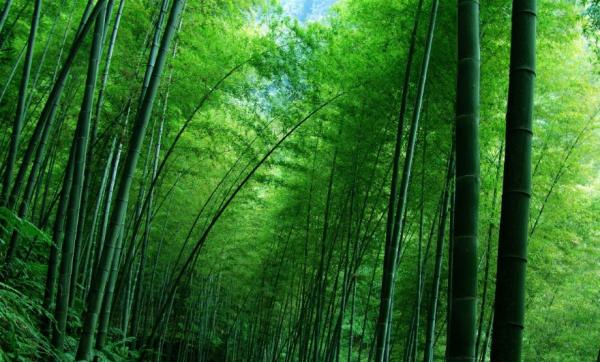 真正興旺發達的家庭,不僅會賺錢,還會做好這幾件事 真正興旺發達的家庭,不僅會賺錢,還會做好這幾件事