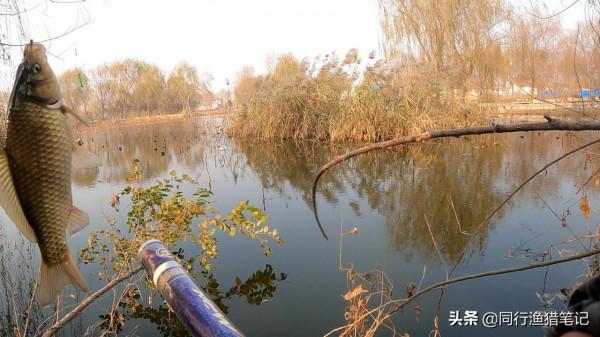 兩代釣魚人的尷尬，年輕人經常爆護，年老的卻無處可釣，好現實