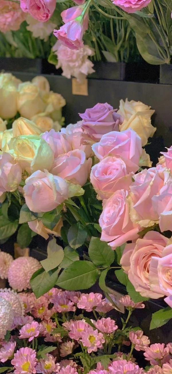 性格慢熱，喜歡獨處的三大星座