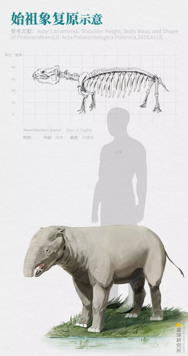 2021年度動物，是誰？