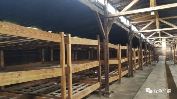 奧斯維辛集中營——《蜻蜓點水遊東歐》