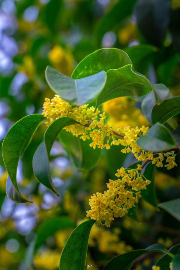 今日秋分|秋水澄澈,與天地相融 今日秋分|秋水澄澈,與天地相融