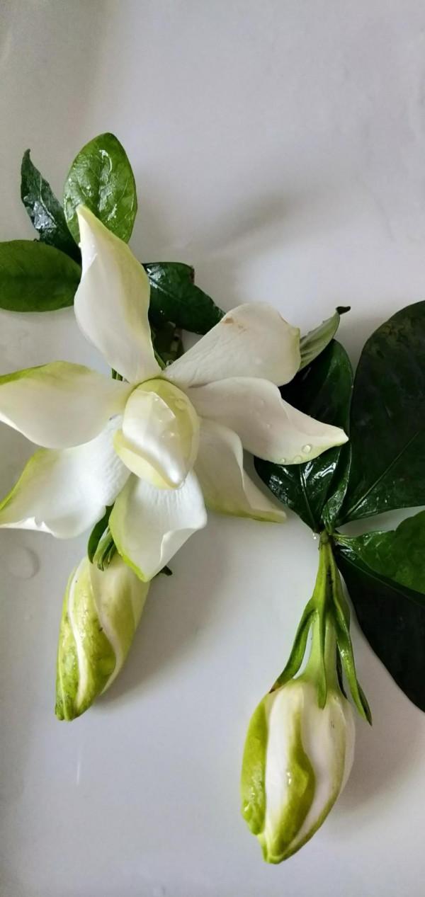 《莊子》雜篇《讓王》，見利思害的道理