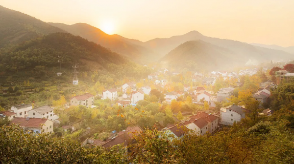 3萬株銀杏林把秋意渲染至極，第一眼就心動了