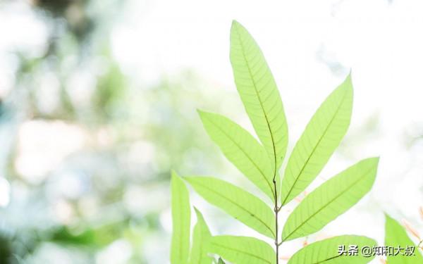 你與什麼樣的人在一起，就擁有什麼樣的格局（值得一讀）