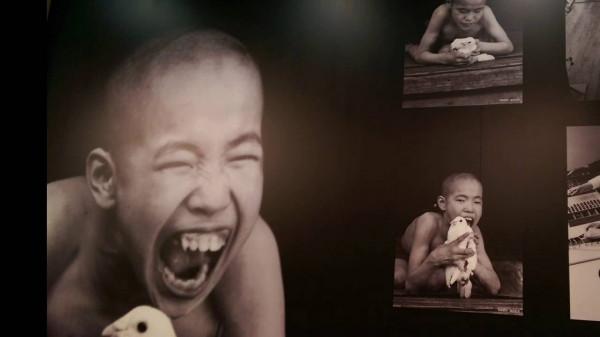 水銀的毒性有多強,是如何影響人體的?我們離汞中毒很近 水銀的毒性有多強,是如何影響人體的?我們離汞中毒很近