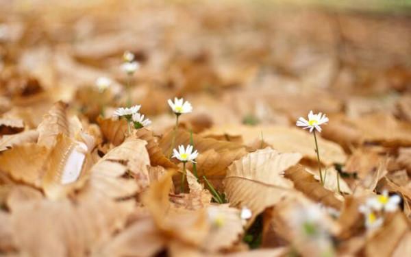 孔子：做人做事從這九個方面思考，便能擁有頂級智慧了