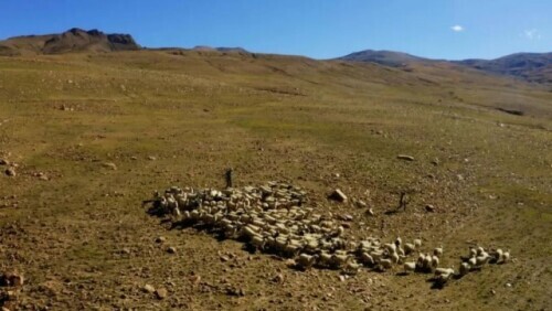 珠峰腳下的“單車球場”