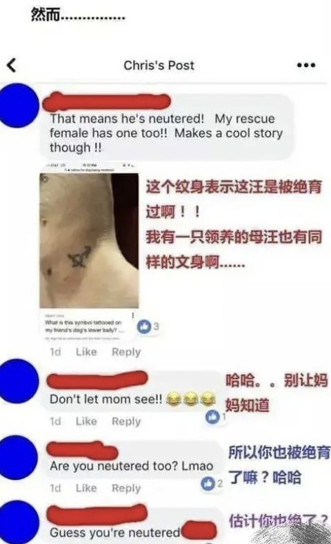 小象偷甘蔗被抓,試圖躲在電線杆後面,好萌 小象偷甘蔗被抓,試圖躲在電線杆後面,好萌