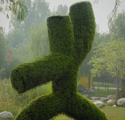 想重回自然體態，來試下亞歷山大技巧