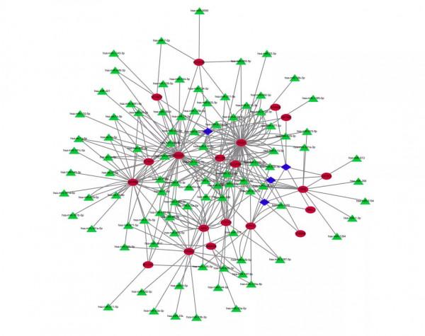 其實,非腫瘤純生信可以這樣進行創新發表 其實,非腫瘤純生信可以這樣進行創新發表