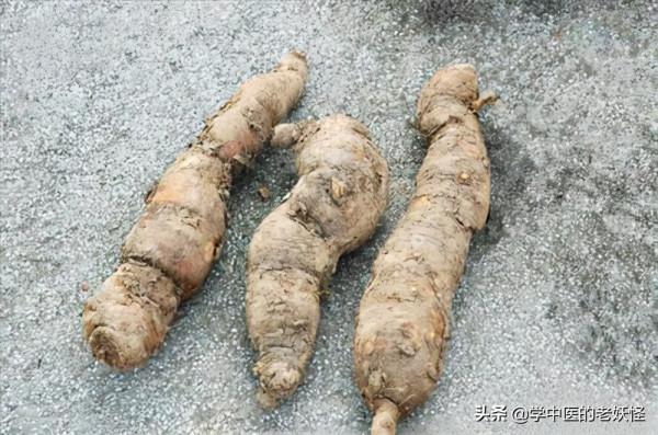 每天學習一味中藥——隔山消