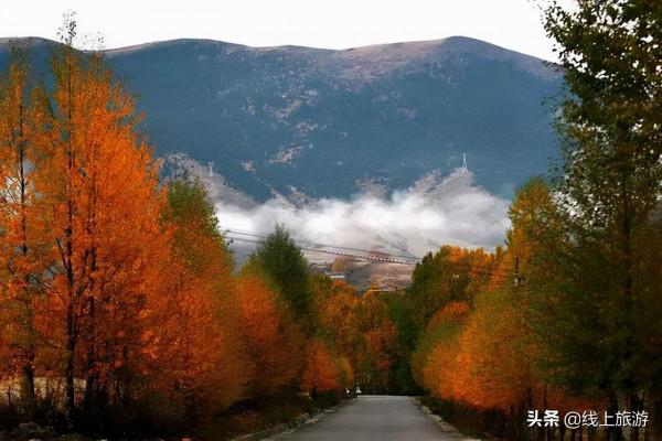 國慶中秋自駕遊，12條最美賞秋線路，看遍全國絕美秋色