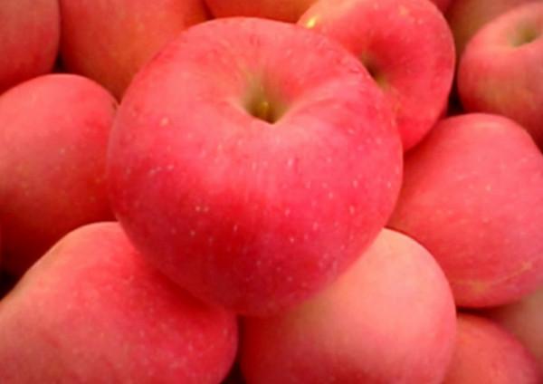 帶有黃體酮的4種食物,過了35歲的女性建議多吃點 帶有黃體酮的4種食物,過了35歲的女性建議多吃點